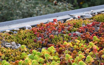the cost of Brind green roof installation