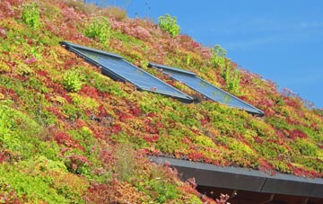 Brind living roof systems