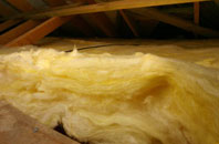 Brind pitch roof insulation