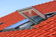 Brind roof window