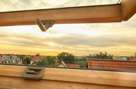 rated Brind roof window companies